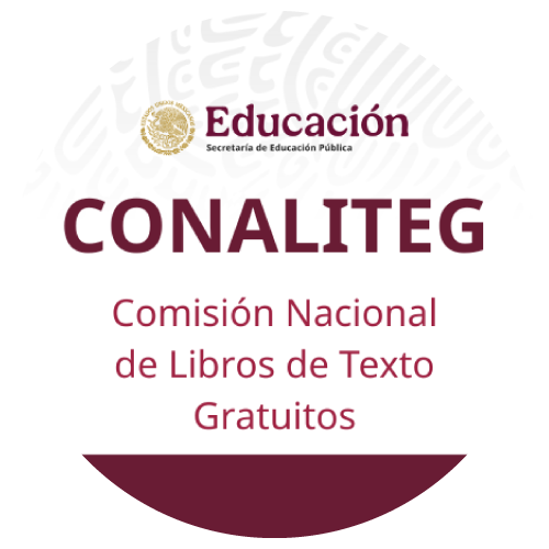 Icono 2